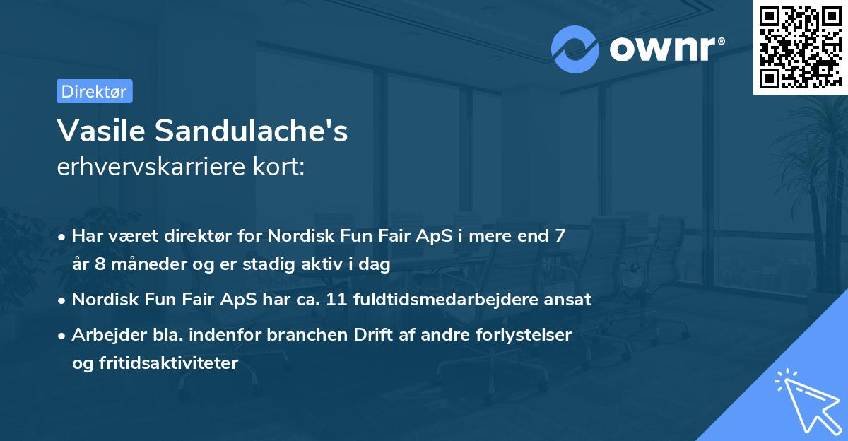 Vasile Sandulache's erhvervskarriere kort