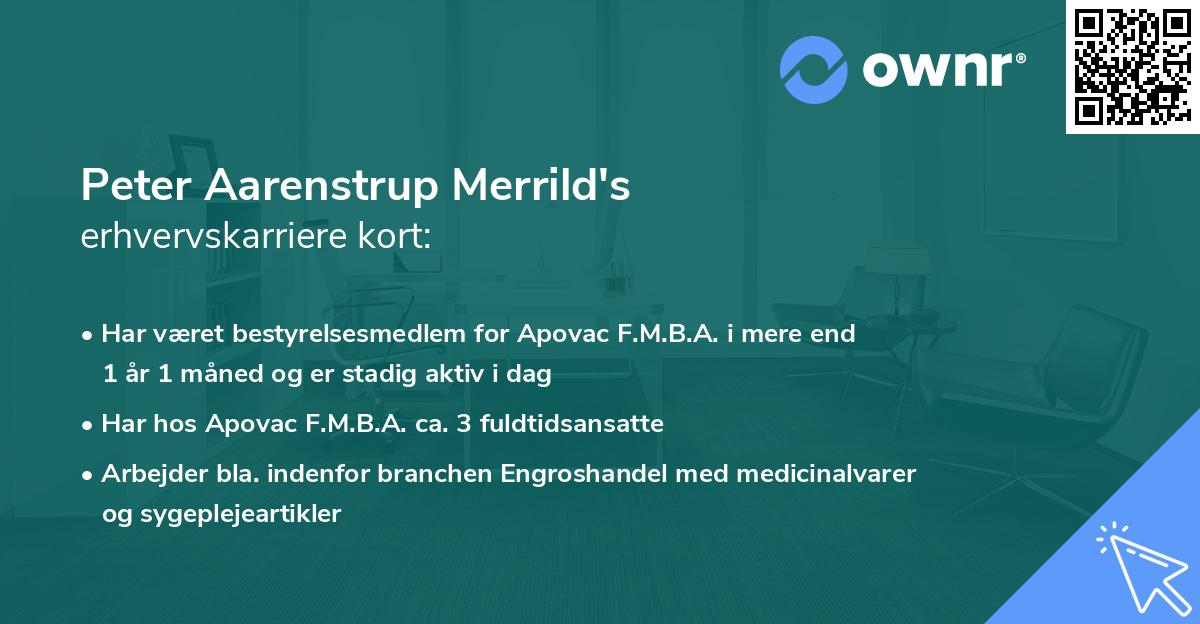 Peter Aarenstrup Merrild's erhvervskarriere kort