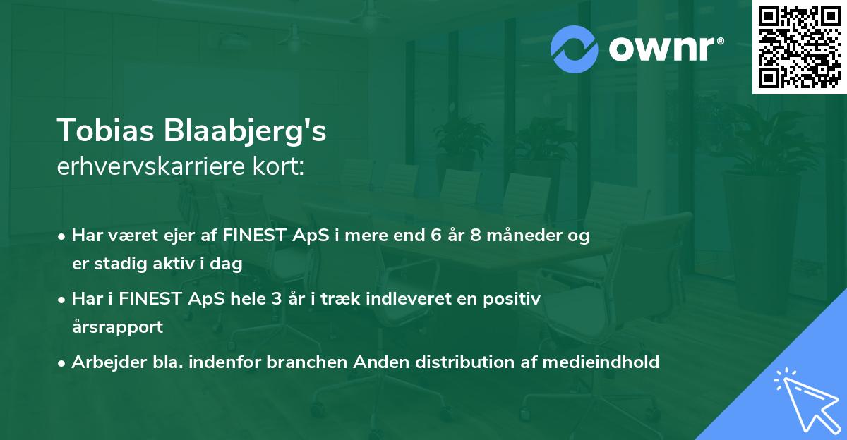 Tobias Blaabjerg's erhvervskarriere kort