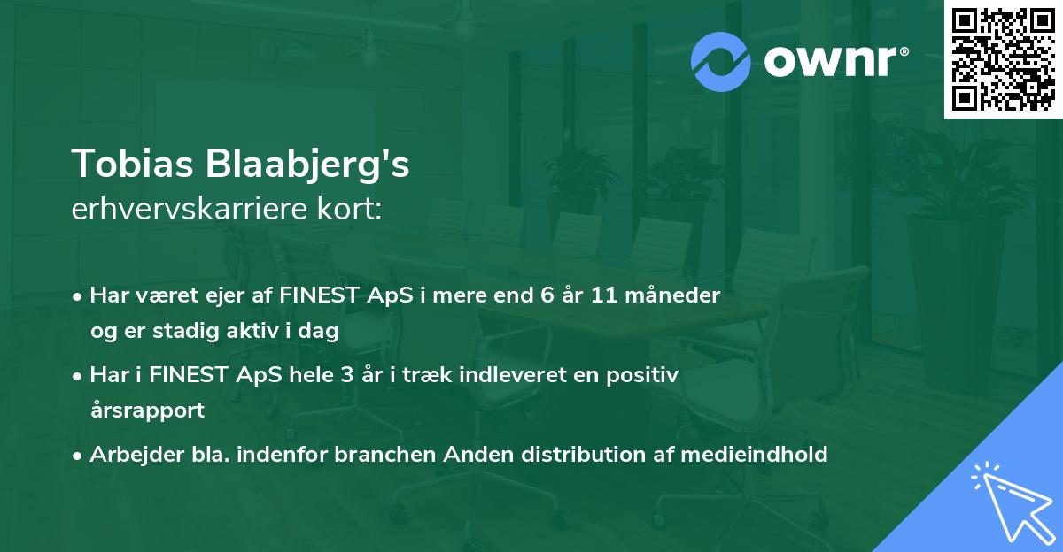 Tobias Blaabjerg's erhvervskarriere kort