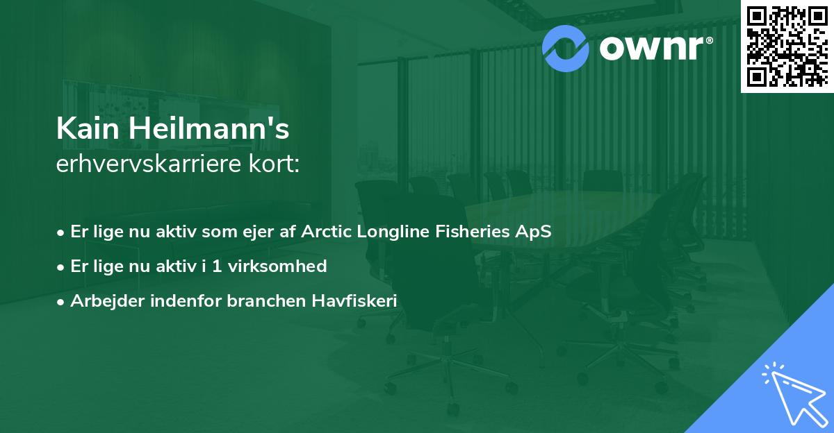 Kain Heilmann's erhvervskarriere kort