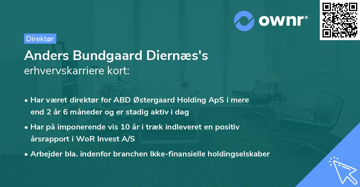 Anders Bundgaard Diernæs's erhvervskarriere kort