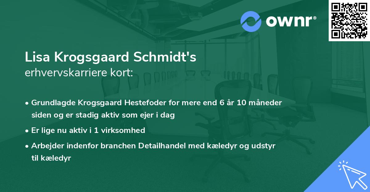 Lisa Krogsgaard Schmidt's erhvervskarriere kort