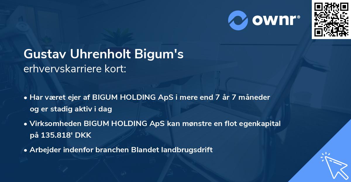 Gustav Uhrenholt Bigum's erhvervskarriere kort