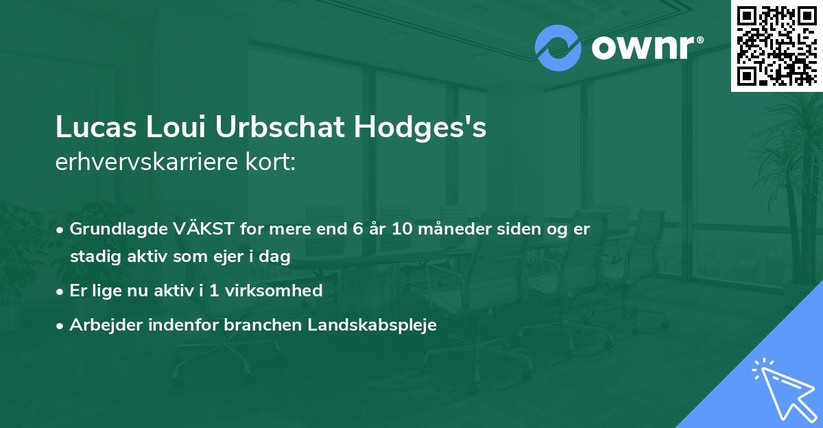 Lucas Loui Urbschat Hodges's erhvervskarriere kort