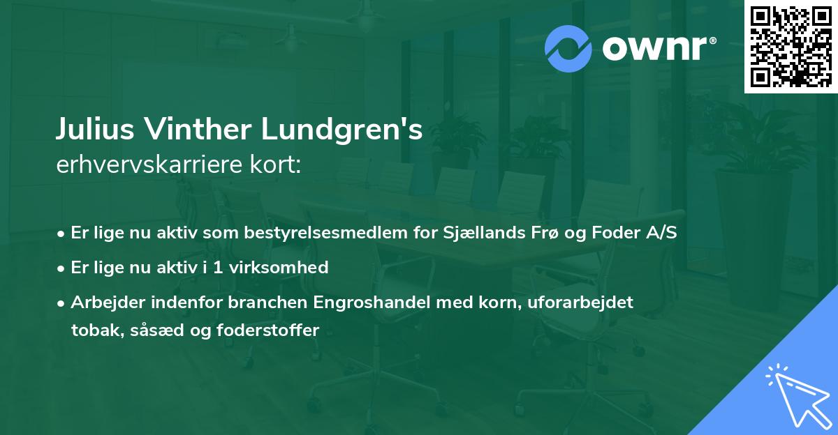 Julius Vinther Lundgren's erhvervskarriere kort