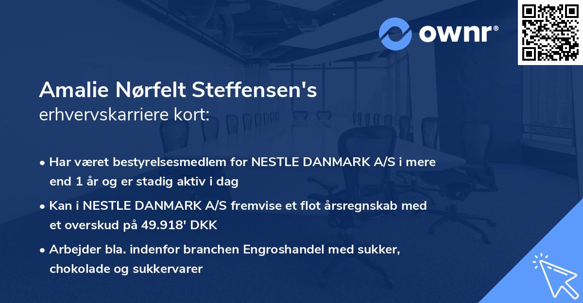 Amalie Nørfelt Steffensen's erhvervskarriere kort