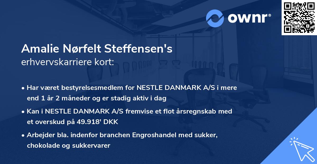 Amalie Nørfelt Steffensen's erhvervskarriere kort