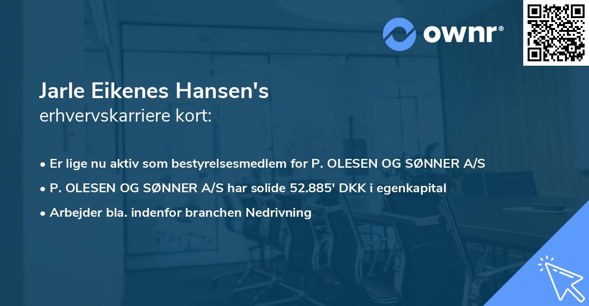 Jarle Eikenes Hansen's erhvervskarriere kort