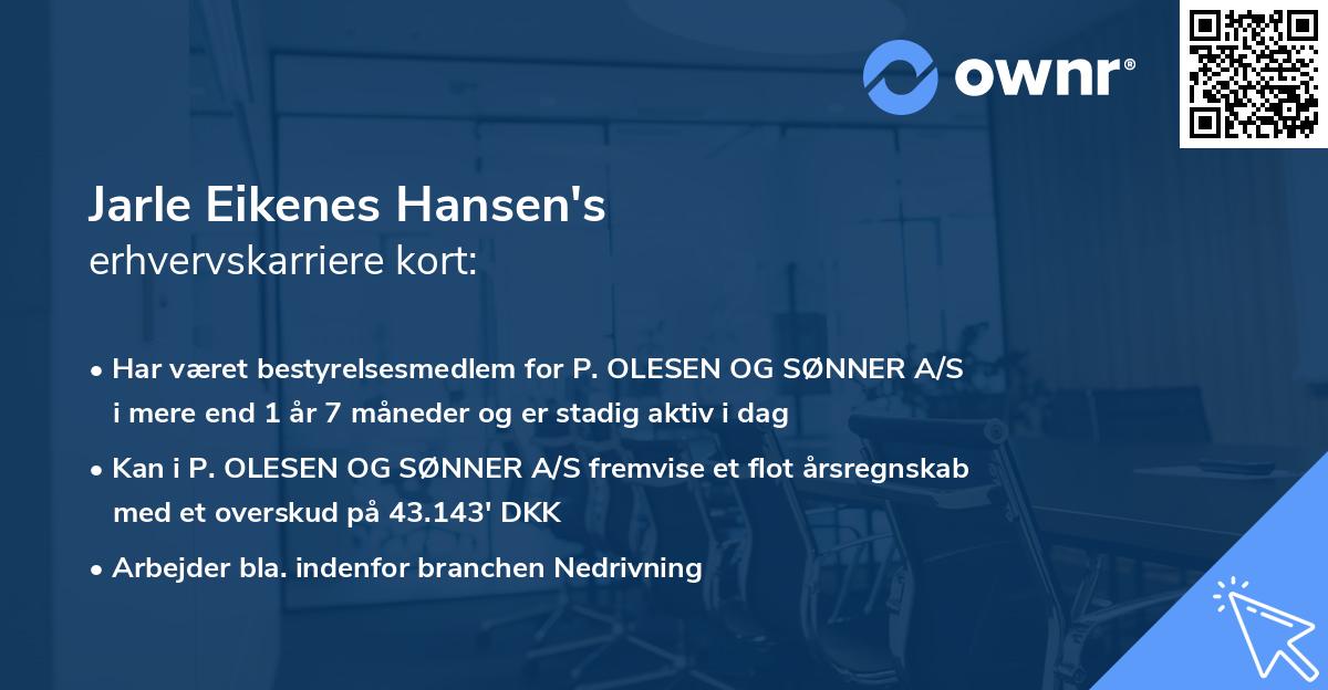 Jarle Eikenes Hansen's erhvervskarriere kort