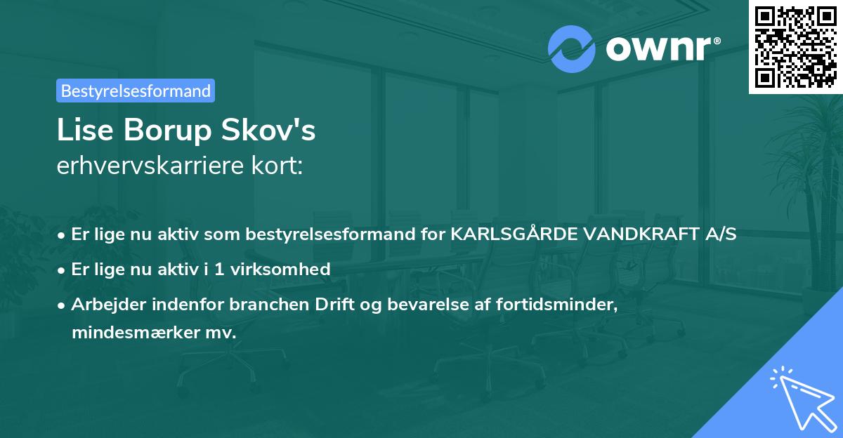 Lise Borup Skov's erhvervskarriere kort