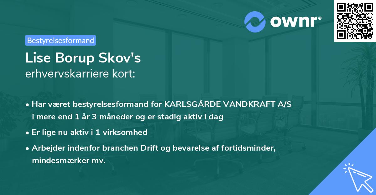 Lise Borup Skov's erhvervskarriere kort