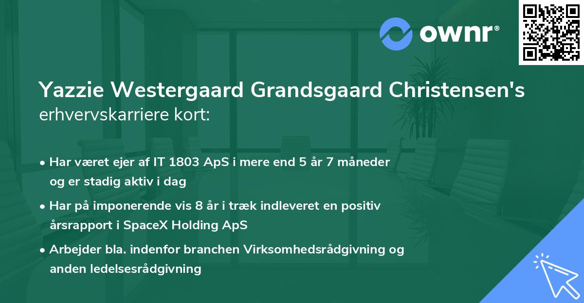 Yazzie Westergaard Grandsgaard Christensen's erhvervskarriere kort