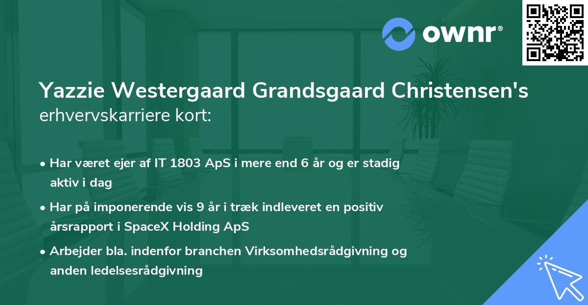 Yazzie Westergaard Grandsgaard Christensen's erhvervskarriere kort