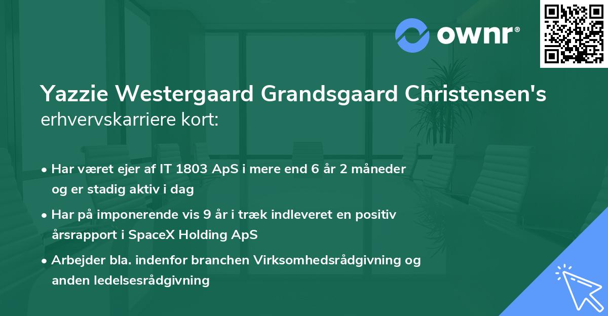 Yazzie Westergaard Grandsgaard Christensen's erhvervskarriere kort