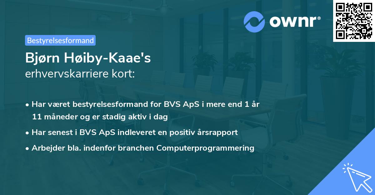Bjørn Høiby-Kaae's erhvervskarriere kort