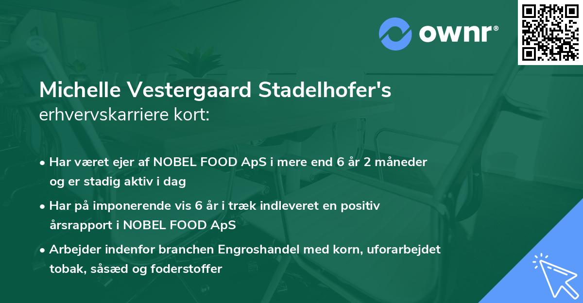 Michelle Vestergaard Stadelhofer's erhvervskarriere kort