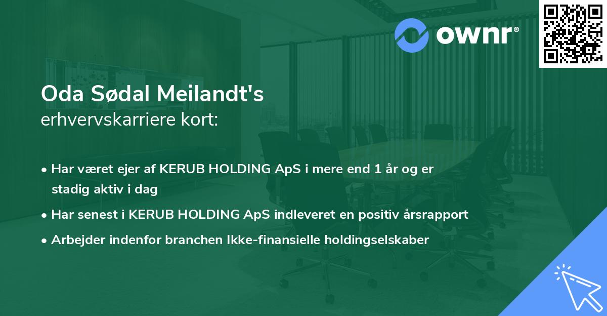 Oda Sødal Meilandt's erhvervskarriere kort