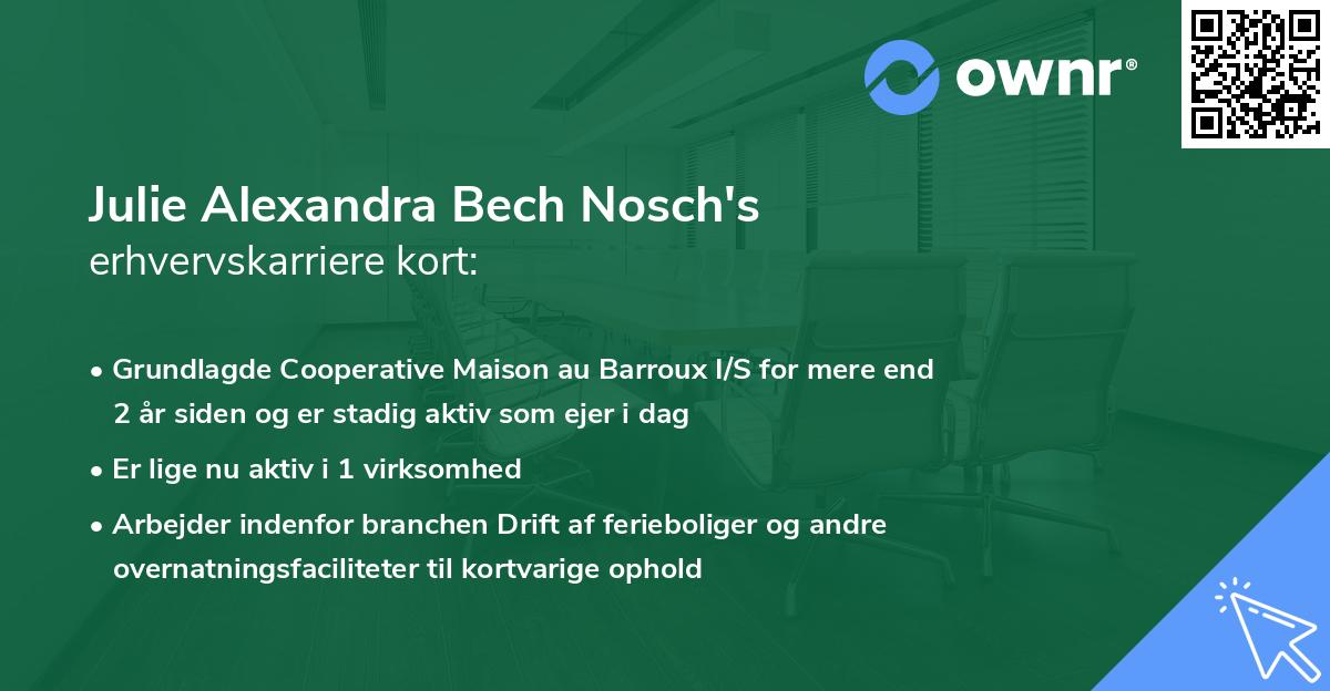 Julie Alexandra Bech Nosch's erhvervskarriere kort
