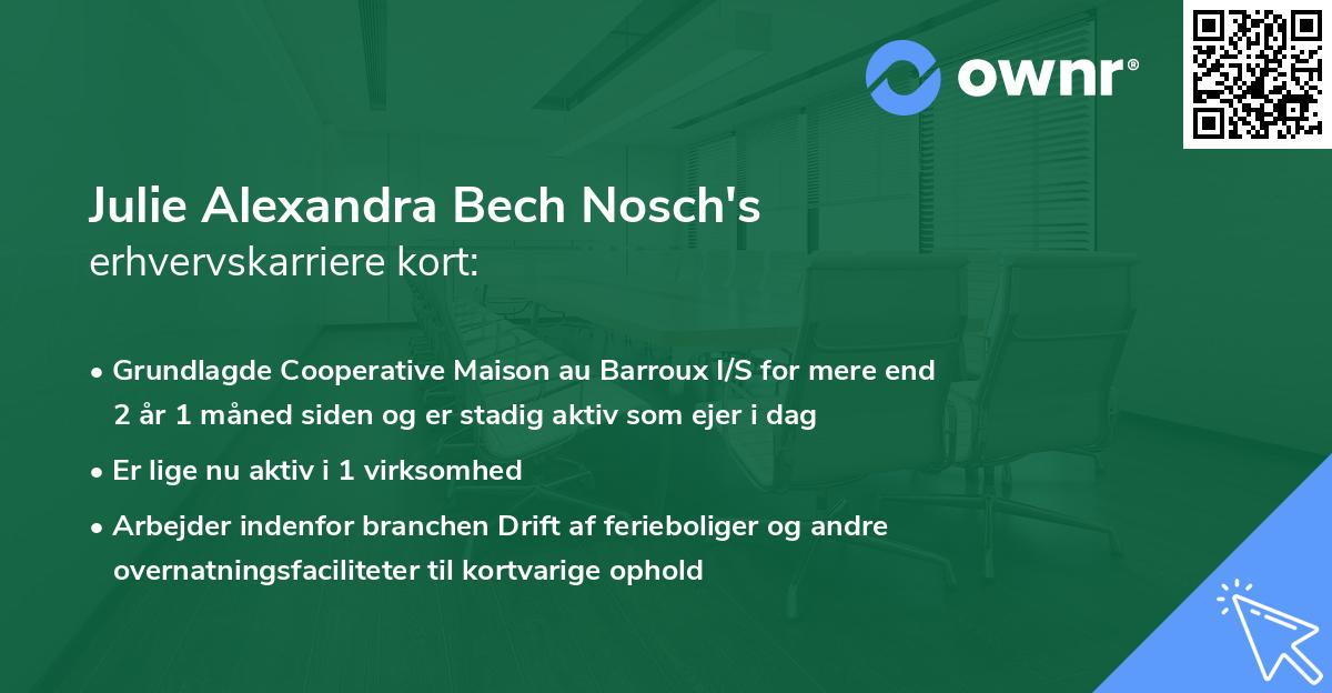 Julie Alexandra Bech Nosch's erhvervskarriere kort