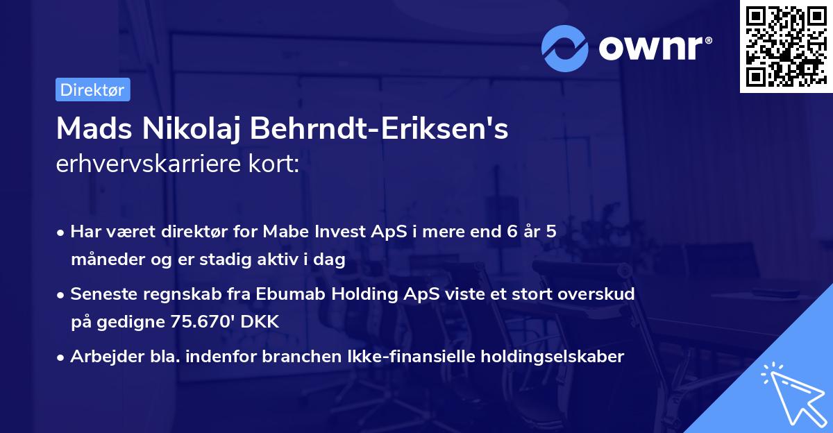 Mads Nikolaj Behrndt-Eriksen's erhvervskarriere kort