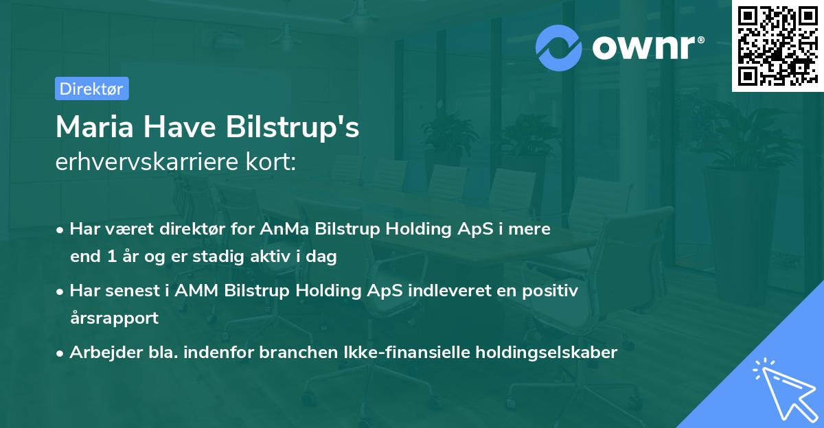 Maria Have Bilstrup's erhvervskarriere kort
