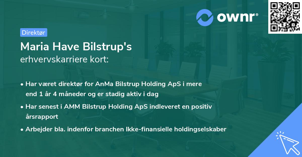 Maria Have Bilstrup's erhvervskarriere kort