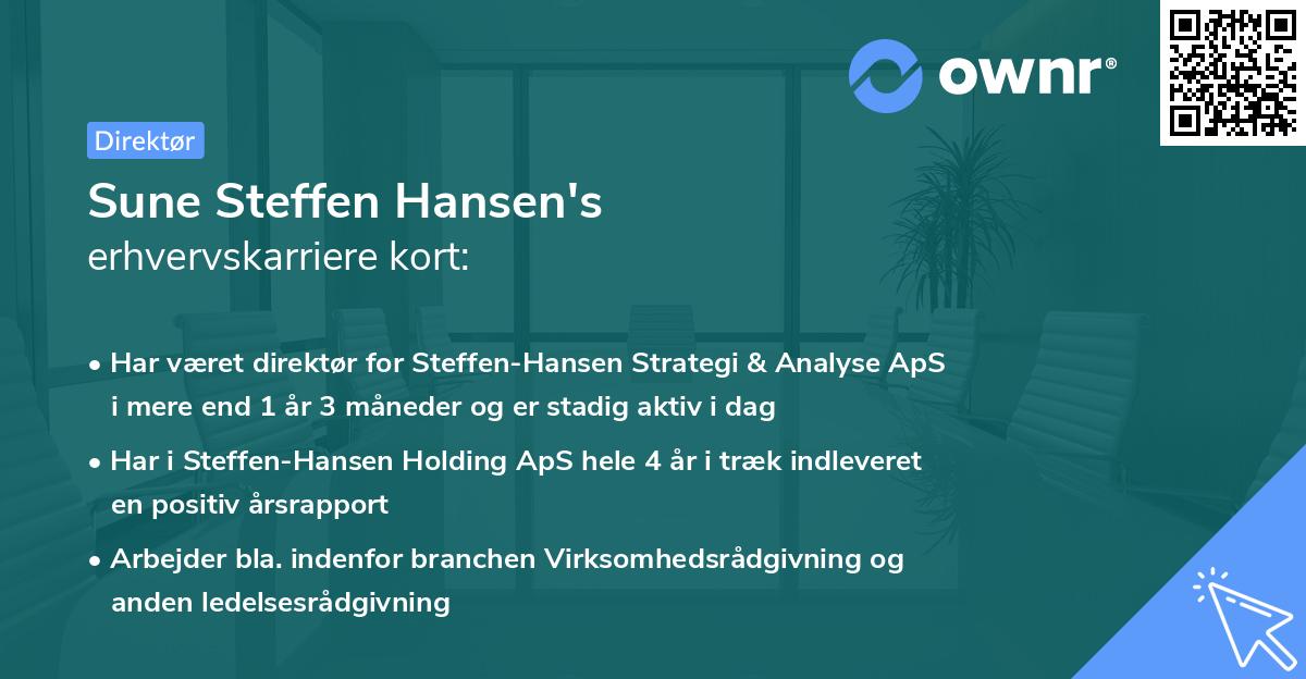 Sune Steffen Hansen's erhvervskarriere kort