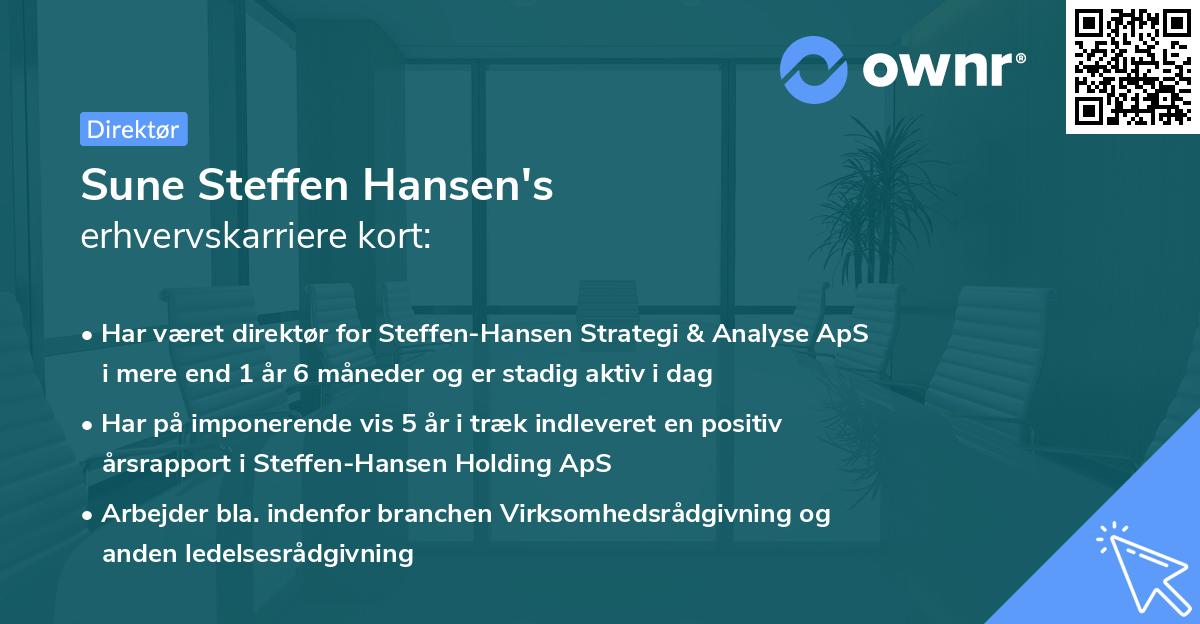 Sune Steffen Hansen's erhvervskarriere kort