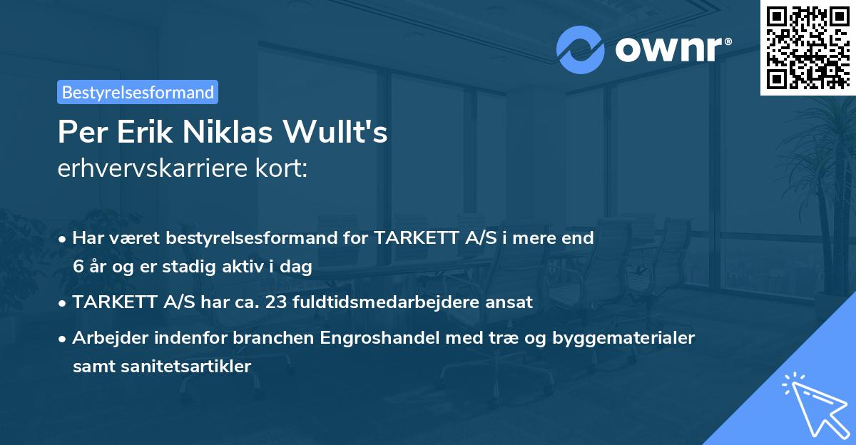 Per Erik Niklas Wullt's erhvervskarriere kort