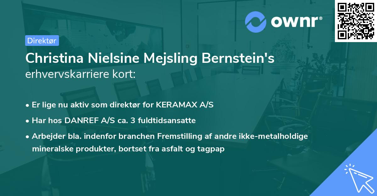 Christina Nielsine Mejsling Bernstein's erhvervskarriere kort