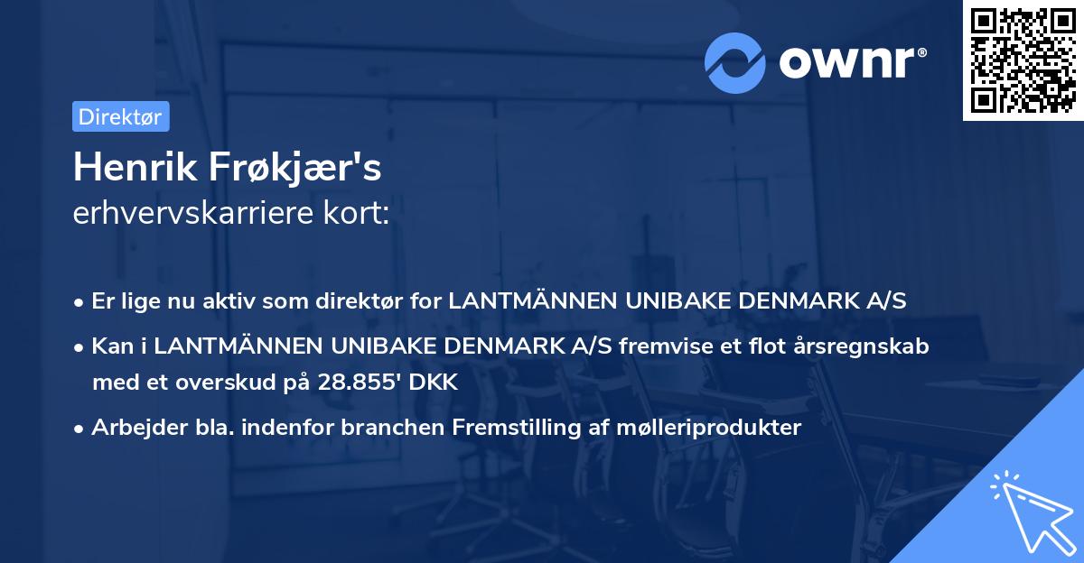 Henrik Frøkjær's erhvervskarriere kort