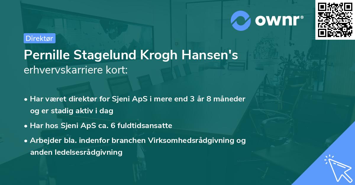 Pernille Stagelund Krogh Hansen's erhvervskarriere kort