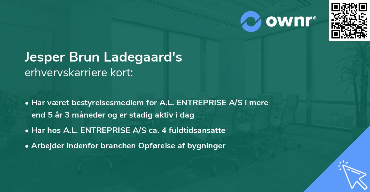 Jesper Brun Ladegaard's erhvervskarriere kort