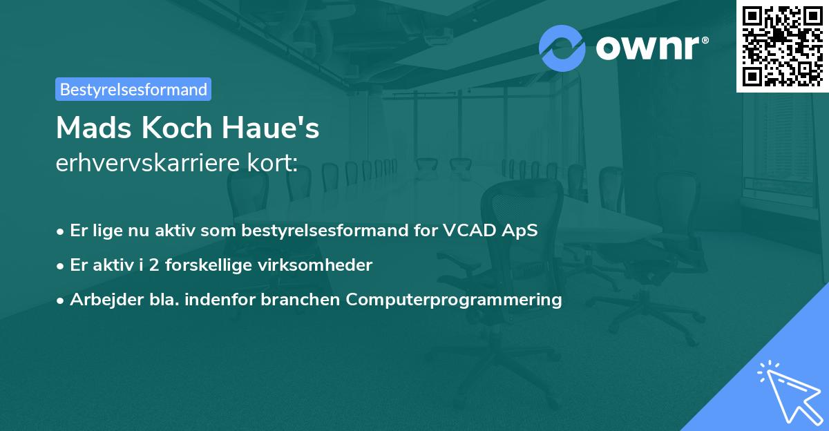 Mads Koch Haue's erhvervskarriere kort