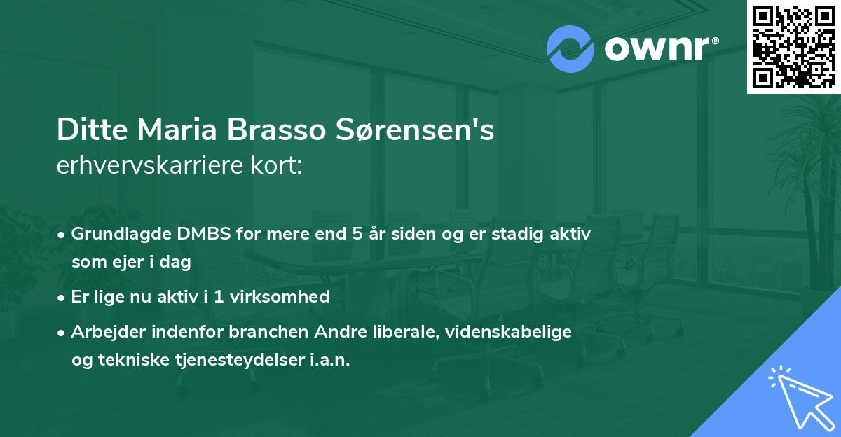 Ditte Maria Brasso Sørensen's erhvervskarriere kort