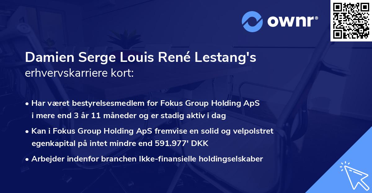 Damien Serge Louis René Lestang's erhvervskarriere kort