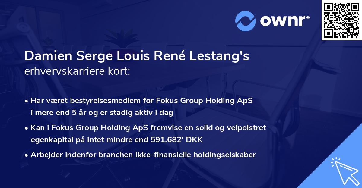 Damien Serge Louis René Lestang's erhvervskarriere kort