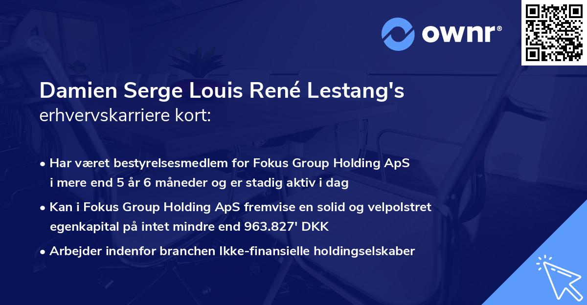 Damien Serge Louis René Lestang's erhvervskarriere kort