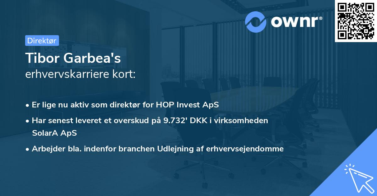Tibor Garbea's erhvervskarriere kort