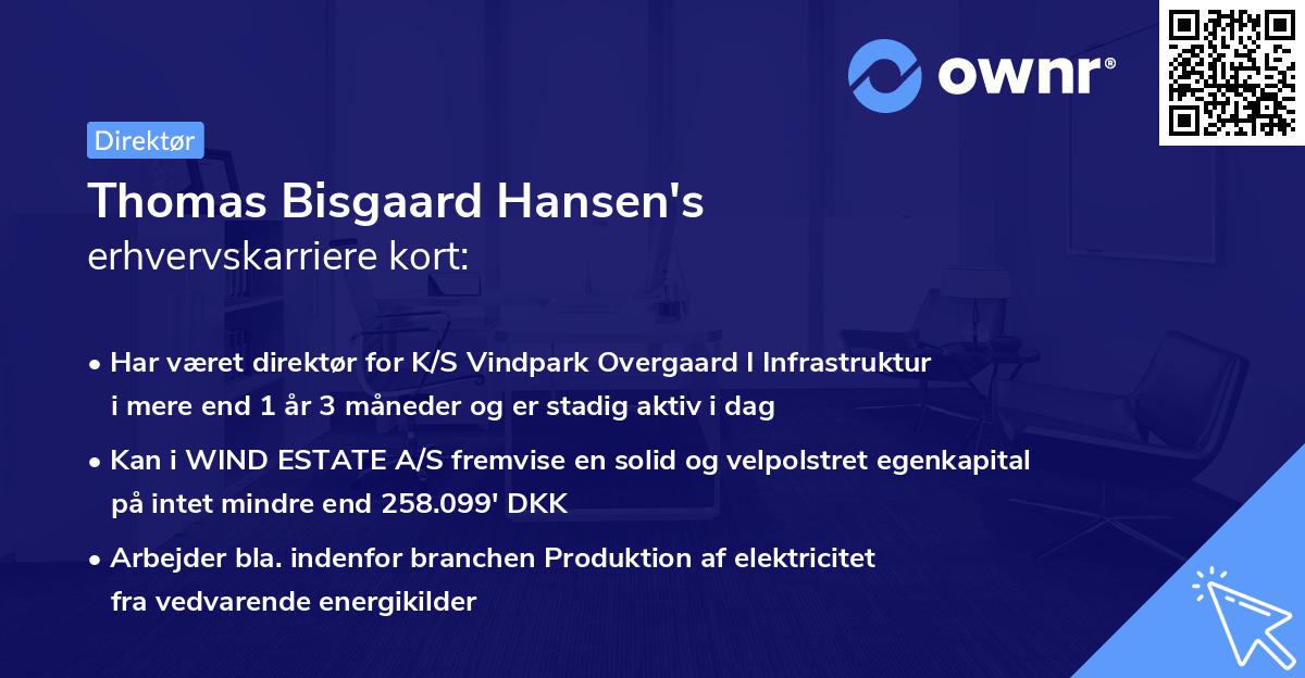 Thomas Bisgaard Hansen's erhvervskarriere kort