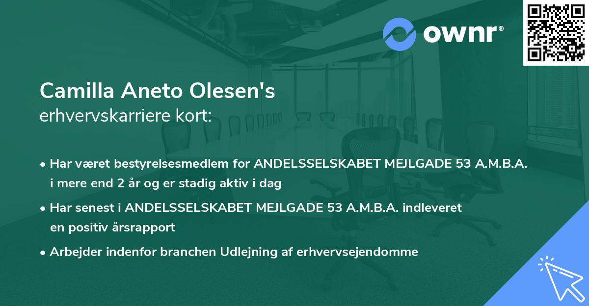 Camilla Aneto Olesen's erhvervskarriere kort