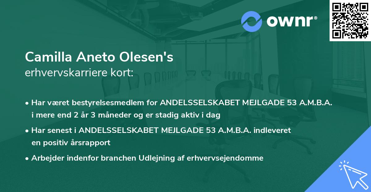 Camilla Aneto Olesen's erhvervskarriere kort