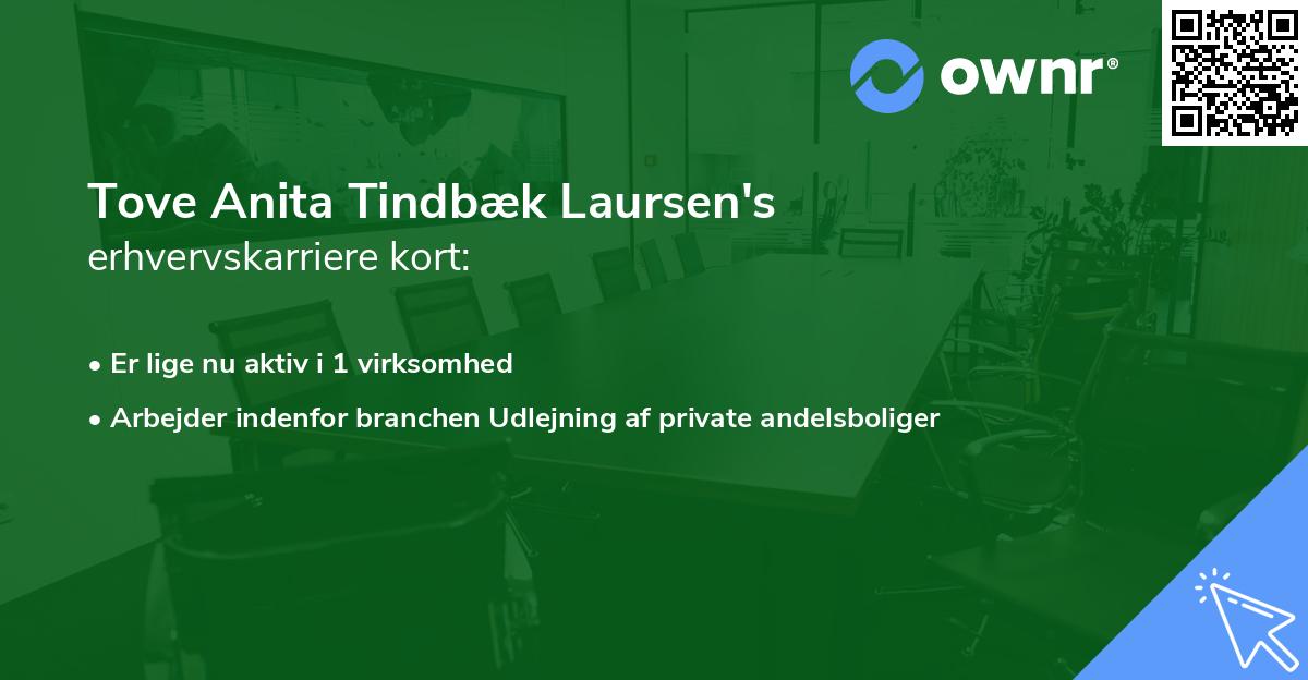 Tove Anita Tindbæk Laursen's erhvervskarriere kort