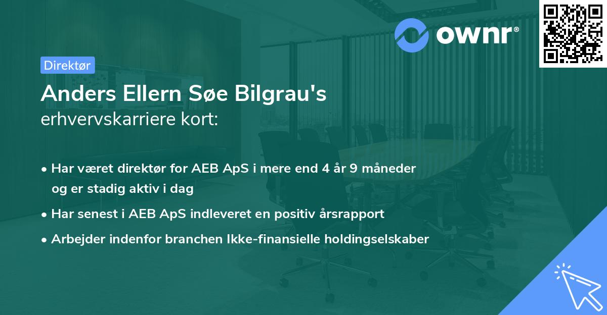 Anders Ellern Søe Bilgrau's erhvervskarriere kort