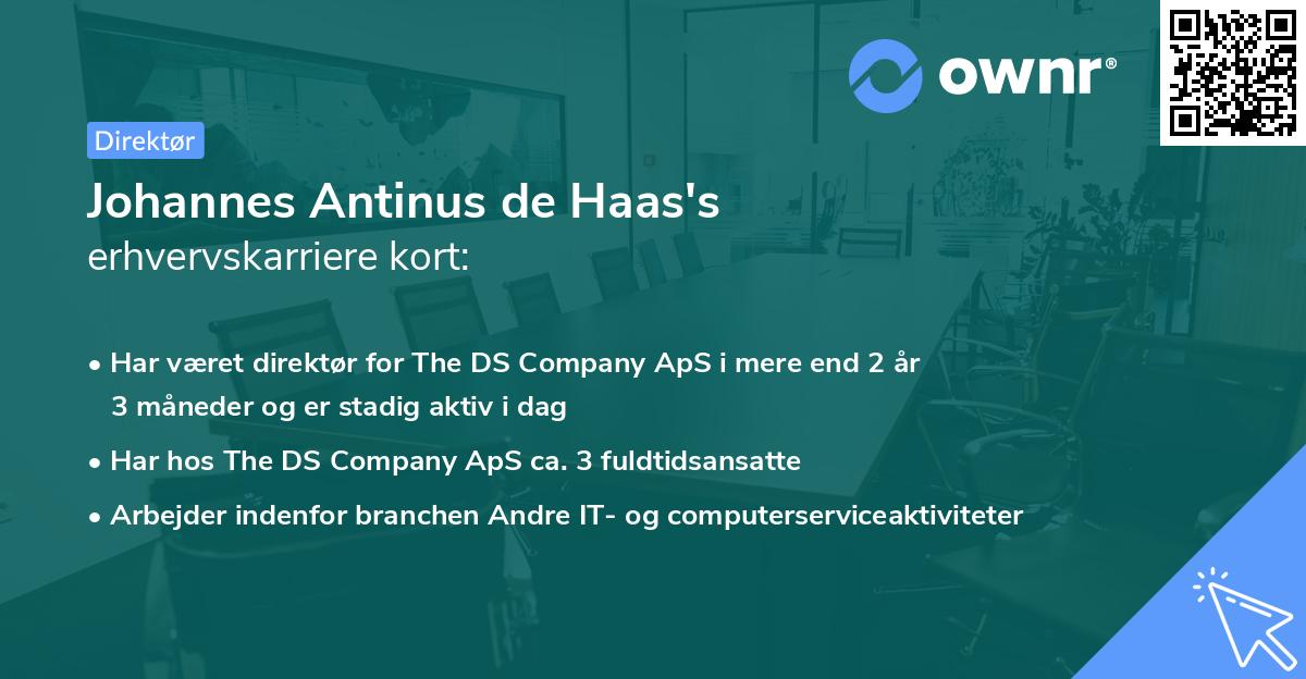 Johannes Antinus de Haas's erhvervskarriere kort