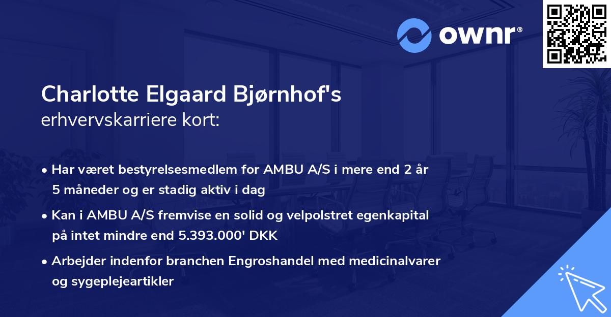 Charlotte Elgaard Bjørnhof's erhvervskarriere kort