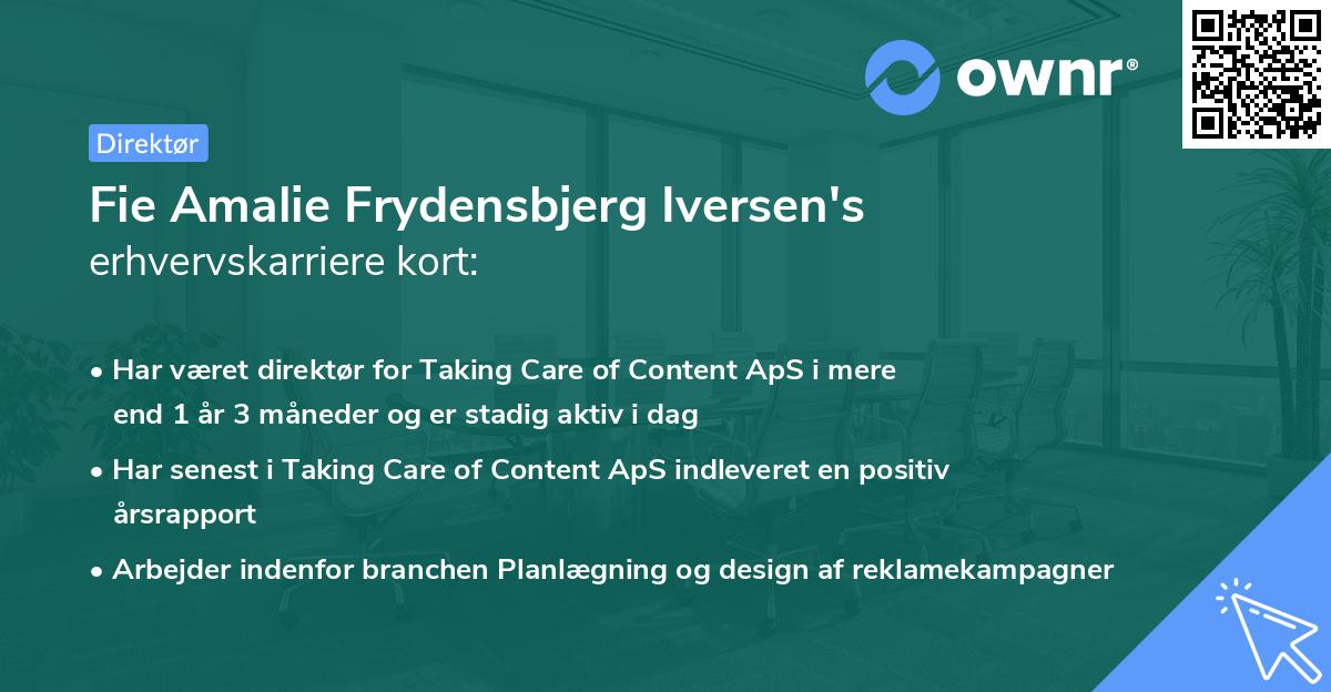 Fie Amalie Frydensbjerg Iversen's erhvervskarriere kort