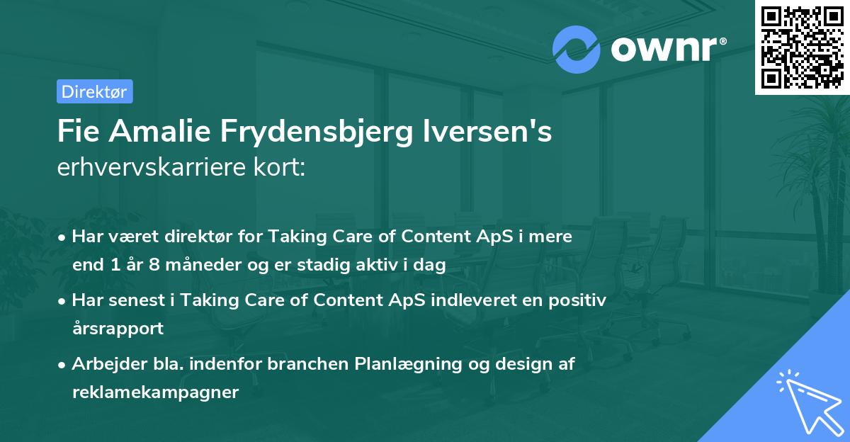 Fie Amalie Frydensbjerg Iversen's erhvervskarriere kort
