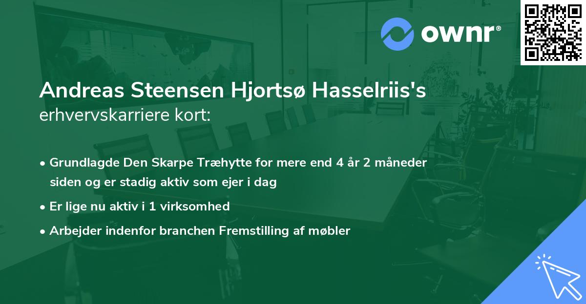 Andreas Steensen Hjortsø Hasselriis's erhvervskarriere kort
